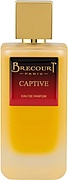 Brecourt Captive