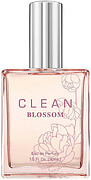 Clean Clean Blossom
