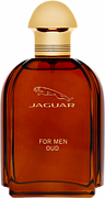 Jaguar Jaguar For Men Oud