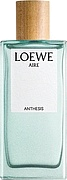 Loewe Aire Anthesis