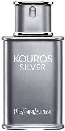 Kouros silver yves saint laurent 100ml on sale