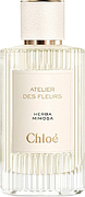 Chloe Herba Mimosa