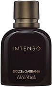 Dolce & Gabbana Pour Homme Intenso