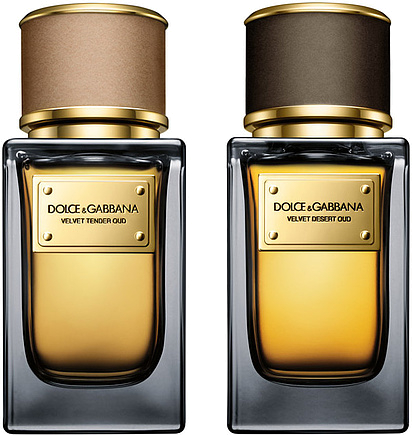 dolce gabbana desert oud