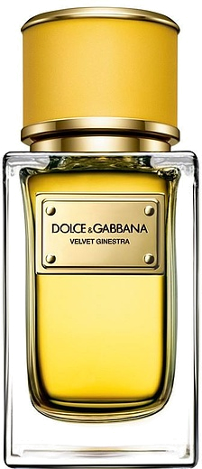 Dolce & Gabbana Velvet Ginestra