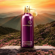 Montale Dark Purple