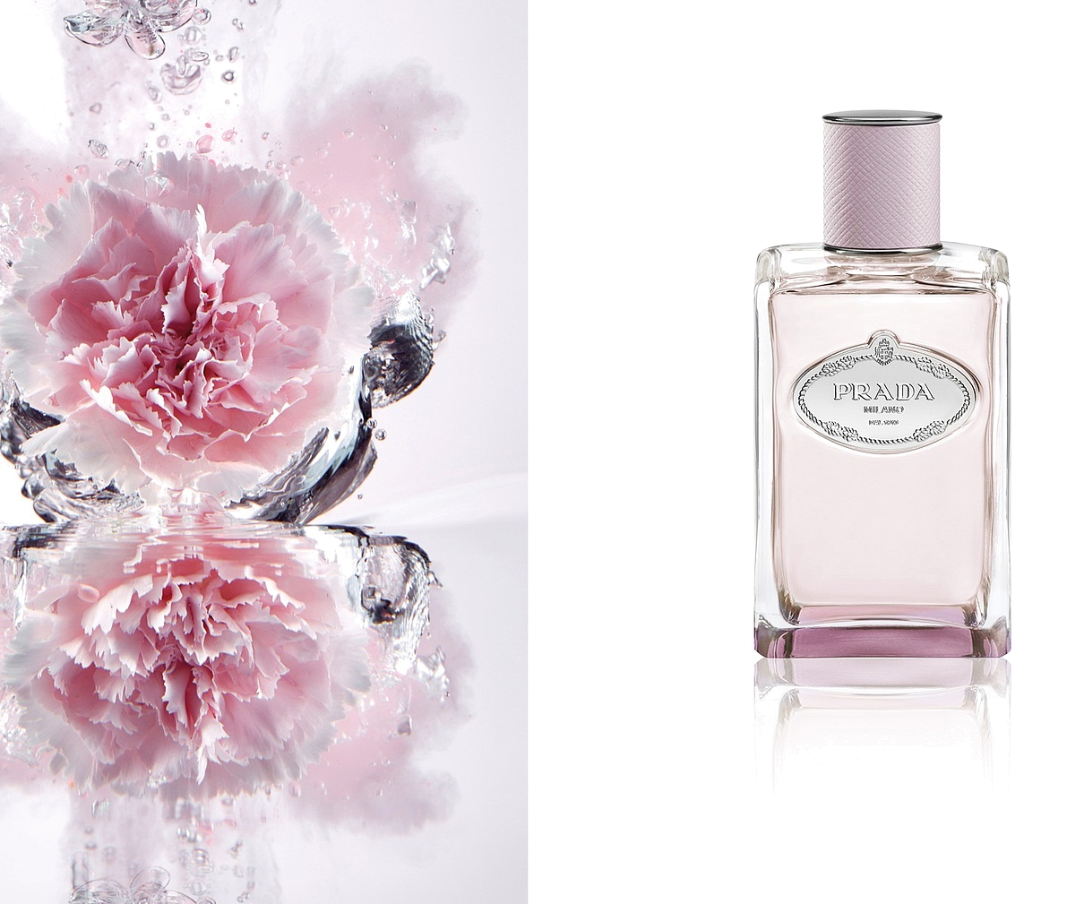 Prada infusion rose online