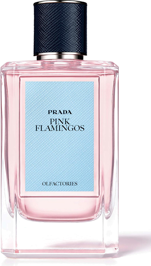 Prada pink perfume on sale