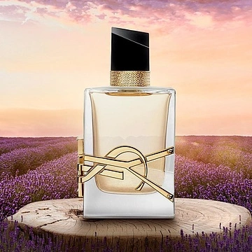 Splendid oud sales ysl