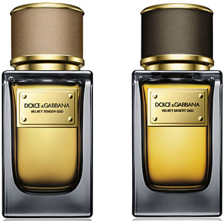 dolce gabbana tender oud